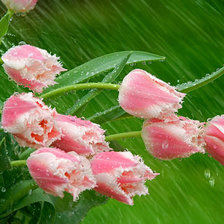 Схема вышивки «№53726»