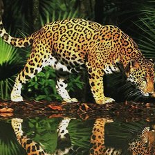 Схема вышивки «Леопард»