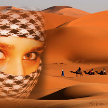 Схема вышивки «Египет.моё фото»