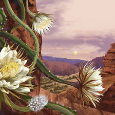 Схема вышивки «№54162»