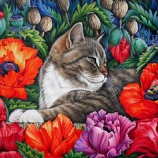 Схема вышивки «кошки»