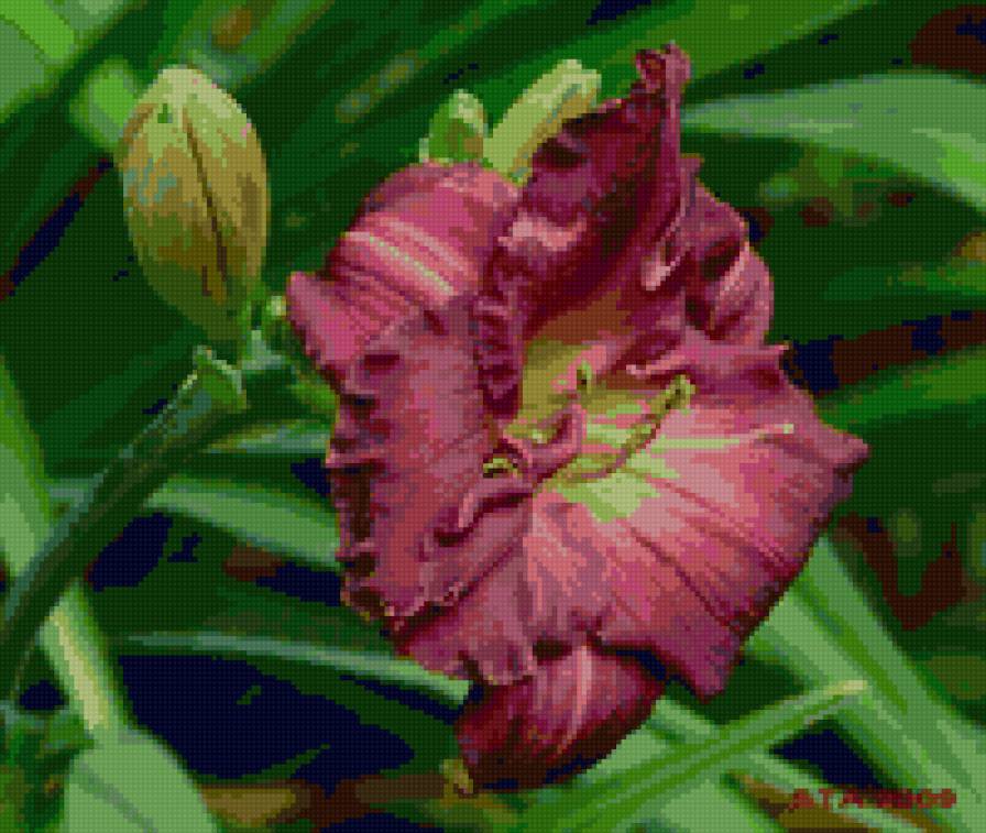 №54395 - цветы, лилии - предпросмотр