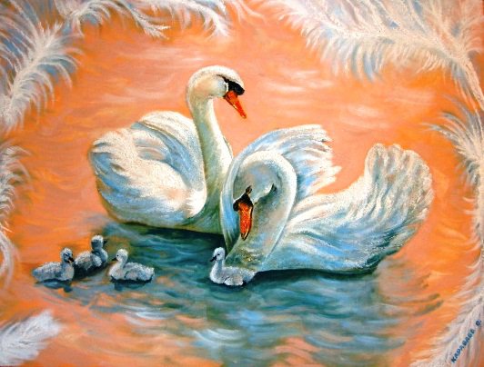 Лебеди - озеро, нежность, , лебедь, вода, грация, лебеди, рядом с мамочкой - оригинал