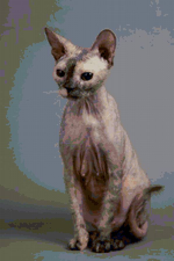 Мацусси Ту Денки - кошки - предпросмотр