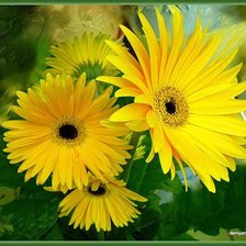 Схема вышивки «№54867»