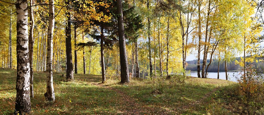 №55067 - оригинал