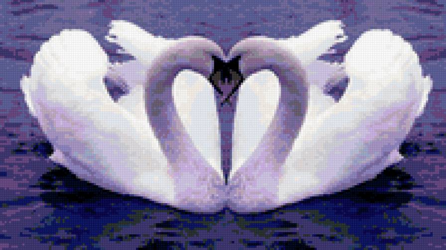 № 20 - предпросмотр