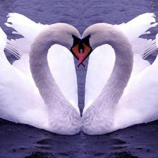 Схема вышивки «№ 20»