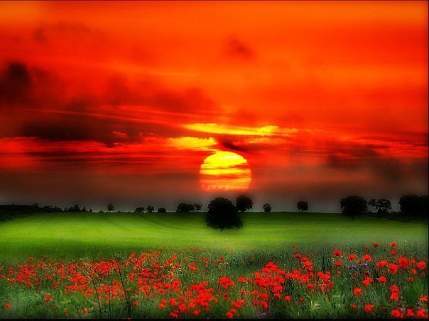 № 32 - оригинал