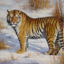 Схема вышивки «496»