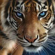 Схема вышивки «499»