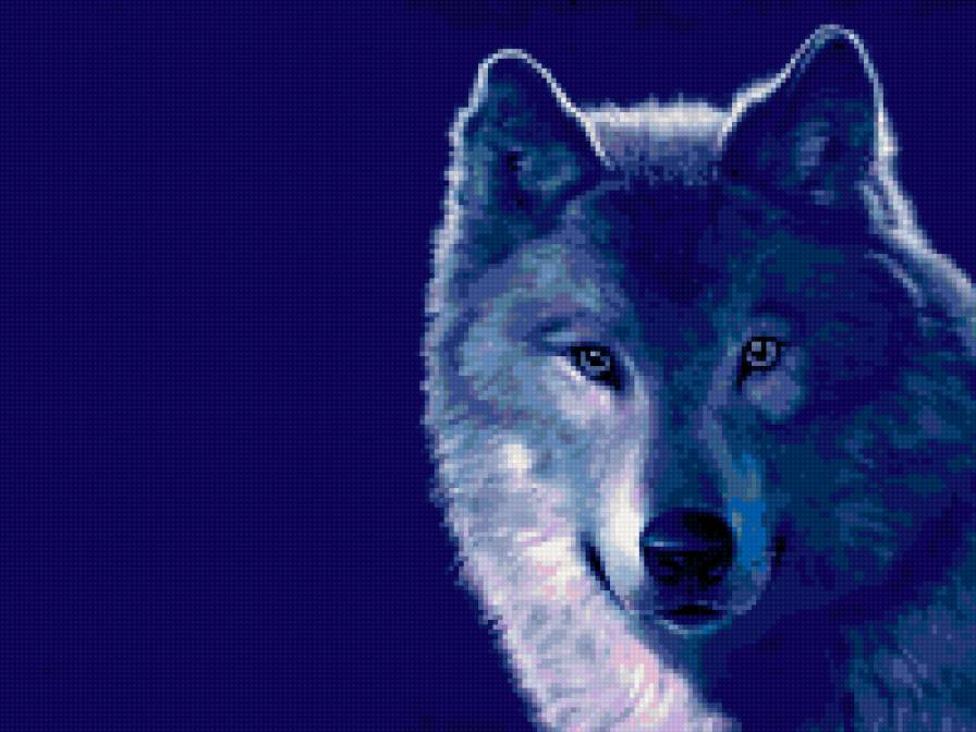 Волк на голубом фоне - волк - предпросмотр