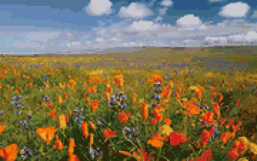 природа - поле, природа - предпросмотр