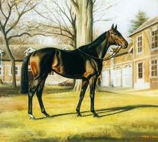 Схема вышивки «конь»