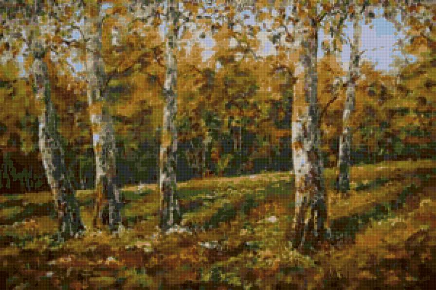 березки - природа, осень, пейзаж, лес, деревья - предпросмотр