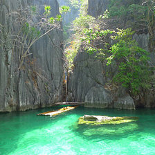 Схема вышивки «природа542»