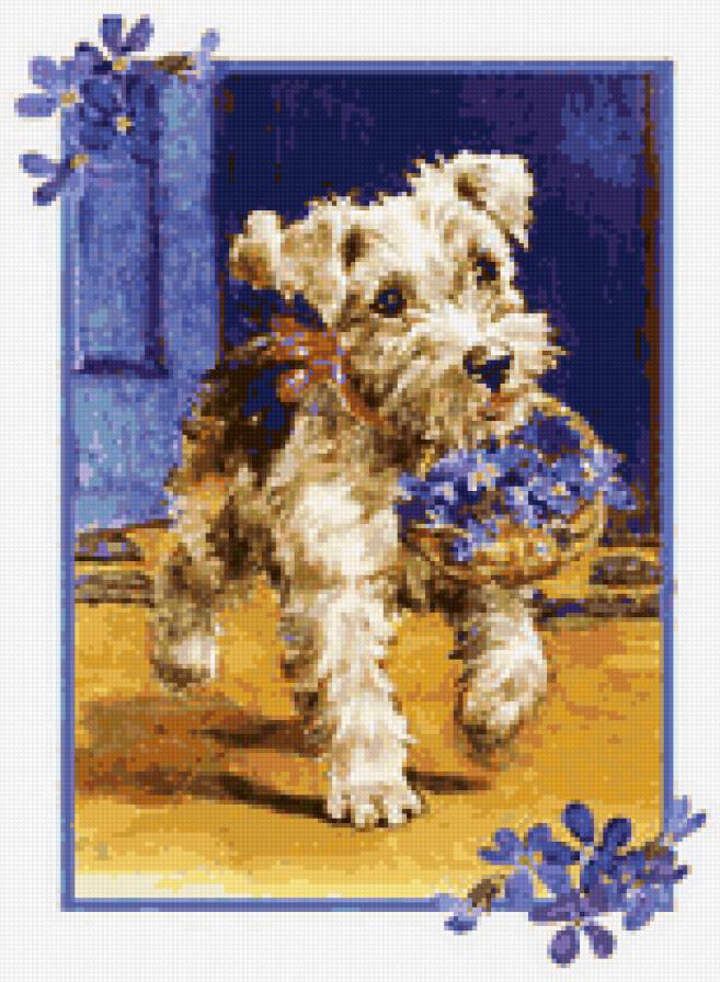 собака с фиалками - фиалки, собака, цветы, животные, фиалка, собаки, щенок, собачка - предпросмотр