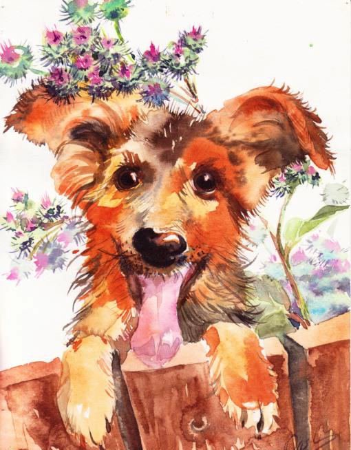 Весёлая дворняга - животные, собачка, , забор, зверушки, щенок, собака, собаки - оригинал