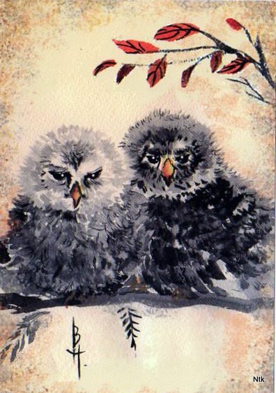 Совы - сова, семья, совы, иллюстрации, листопад, природа, осень - оригинал