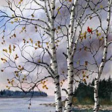 Схема вышивки «Природа»