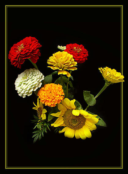 Букет - цветы, картина - оригинал