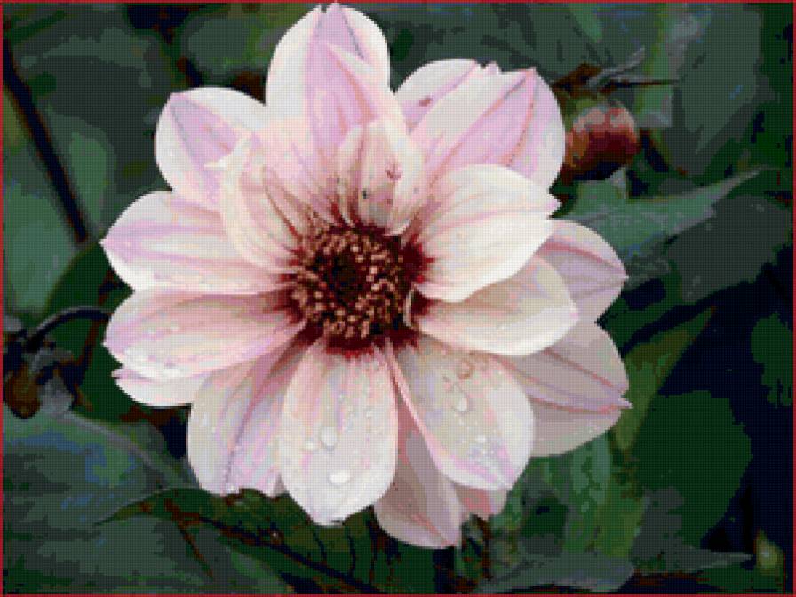 серия Цветы - подушка, природа, цветы - предпросмотр