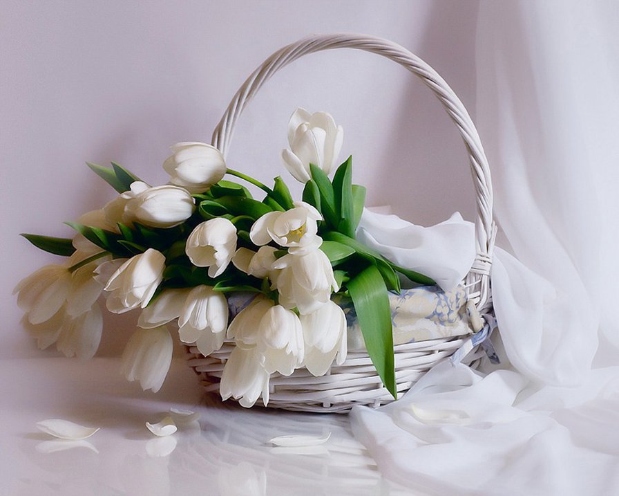 тюльпаны - оригинал