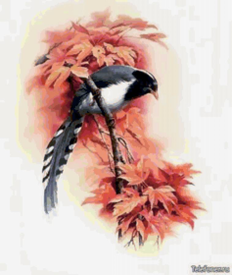 №56540 - птицы - предпросмотр