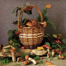 Схема вышивки «грибная пора»