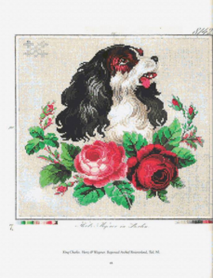 спаниель - вышивка - предпросмотр