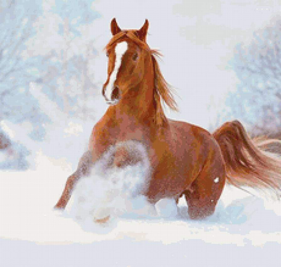 Огонь на снегу - конь, животные природа - предпросмотр