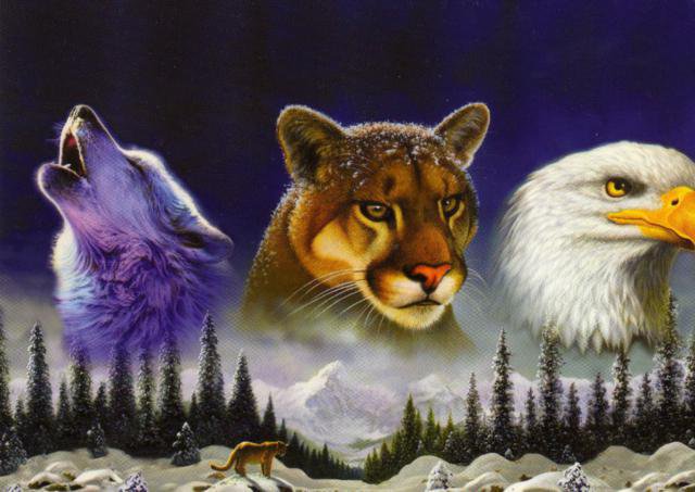 хищники - оригинал