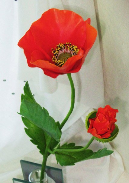 мак - цветы - оригинал