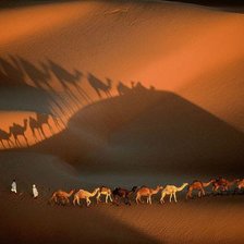 Схема вышивки «пустыня»