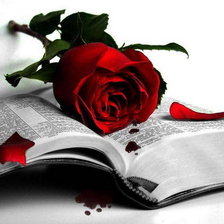 Схема вышивки «roza»