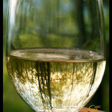 Схема вышивки «бокал с водой»