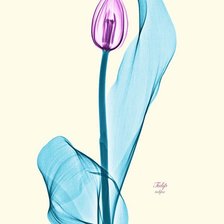 Схема вышивки «2»