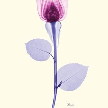 Схема вышивки «3»