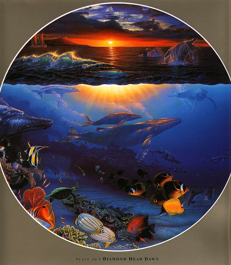 Подводный мир - море, вода - оригинал