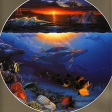 Подводный мир