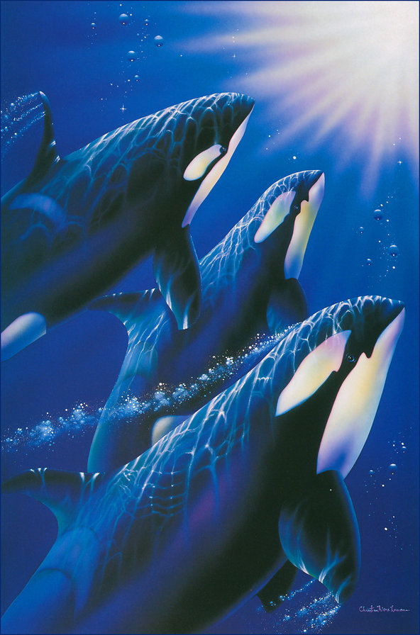 Подводный мир 3 - рыбы, океан, вода, море - оригинал