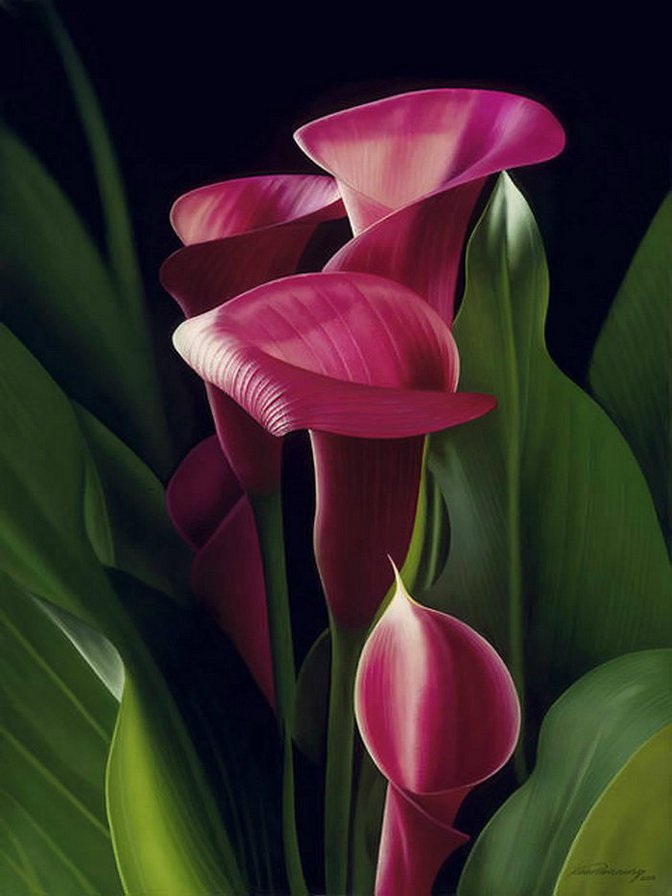 цветы - картина, красота - оригинал