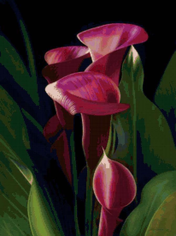 цветы - красота, картина - предпросмотр