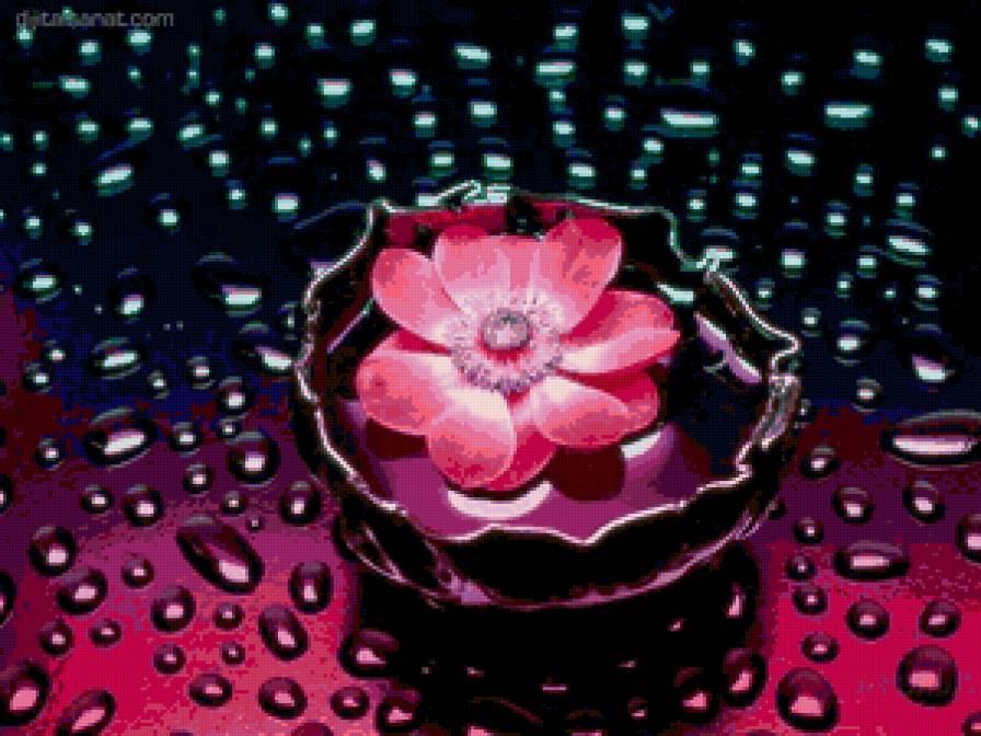 цветик-семицветик - цветы - предпросмотр