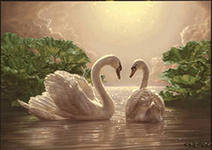 лебеди - любовь, дружба, птицы - оригинал