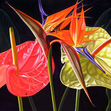 Схема вышивки «цветы»