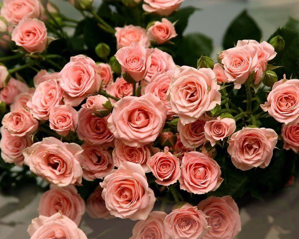 шикарный букет роз - оригинал