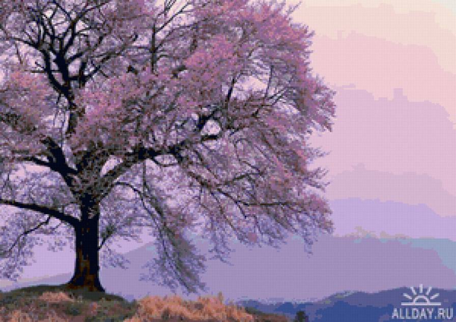 Сакура - сакура, пейзаж - предпросмотр