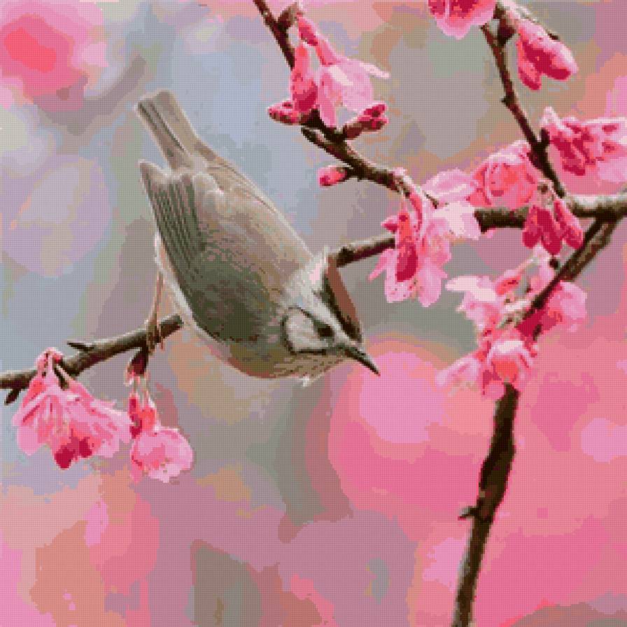 сакура 1 - сакура, пейзаж, птица - предпросмотр