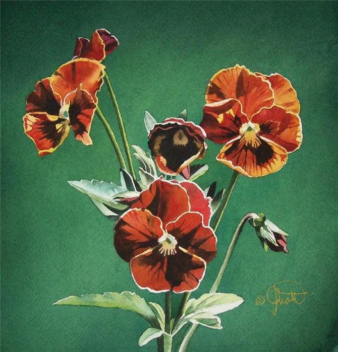 анютины глазки - цветы, фиалки, живопись - оригинал